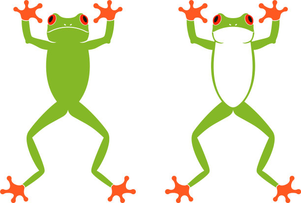 红眼蛙图片下载