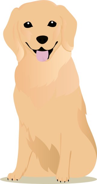 金毛猎犬图片下载