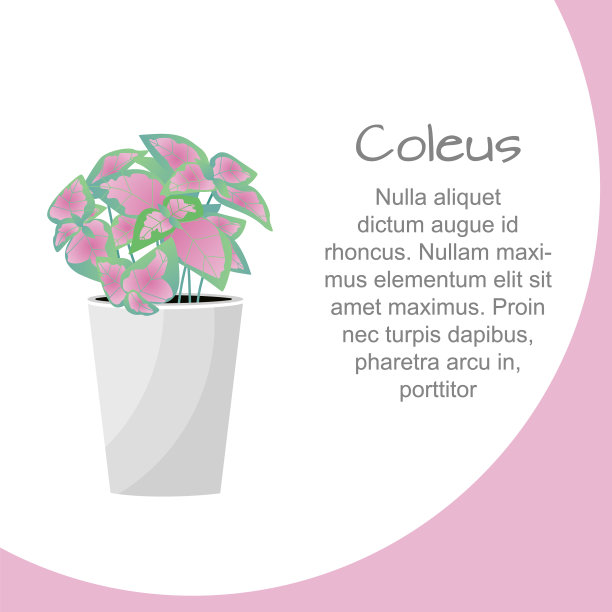 植物在盆中彩色花扁平风格图片下载