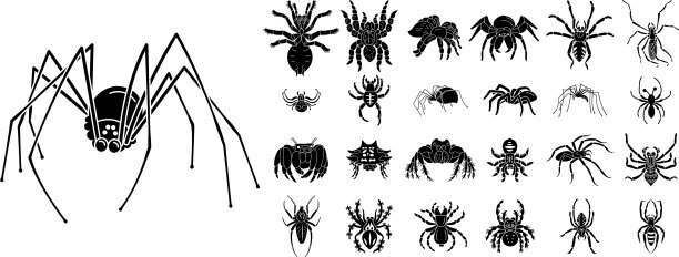 蜘蛛图标设置简单的风格图片下载