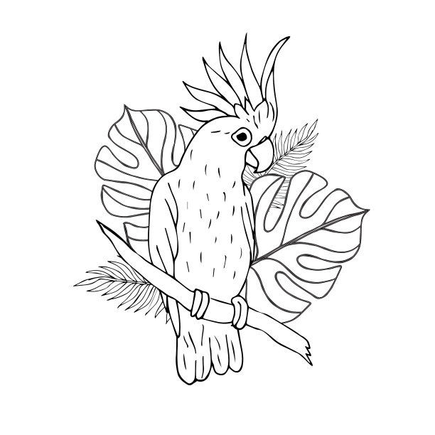 手绘鹦鹉与棕榈叶图片下载