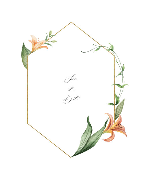 水彩花环橙百合花图片下载