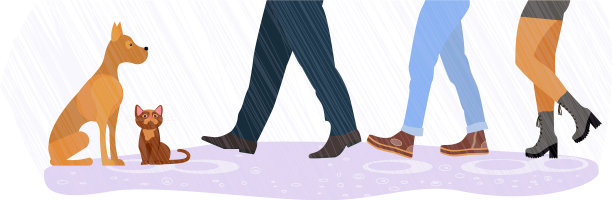 无家可归的猫和狗夹在男人和女人的脚间图片下载