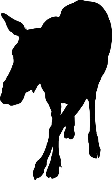 驴轮廓图片下载