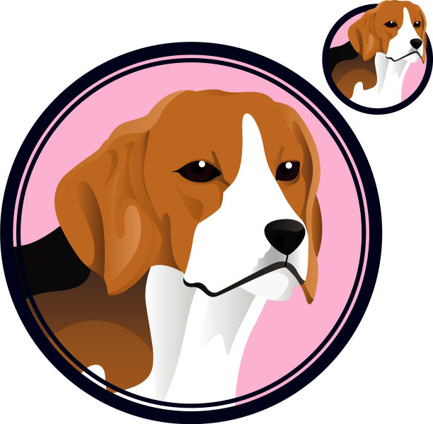 小猎犬头围成一圈图片下载