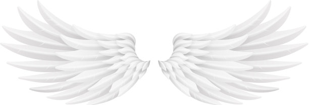 白鸟天使动物飞翅膀3d逼真图片下载