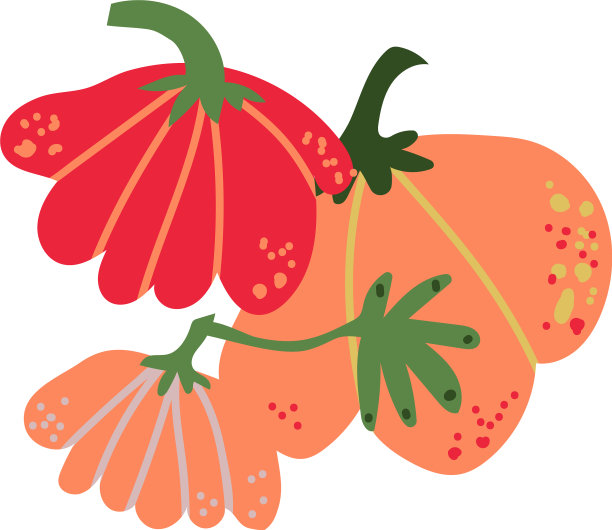 南瓜新鲜蔬菜有机营养图片下载