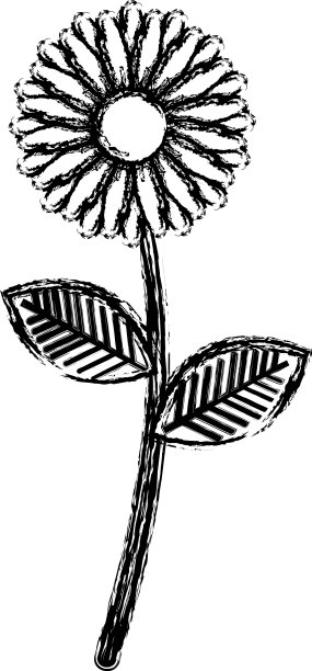 花和叶装饰图标图片下载