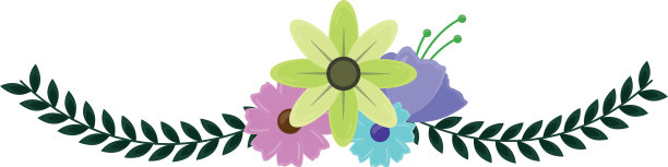 精致的花的叶子图片下载