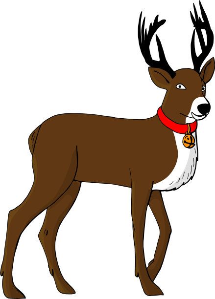 有着黑色大角和红色项圈的驯鹿图片下载