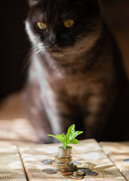 一堆顶上有小树的硬币图片下载
