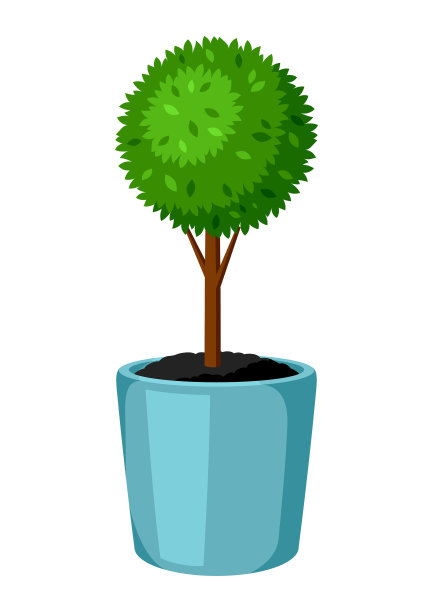 黄杨是园林中栽植的装饰树种图片下载