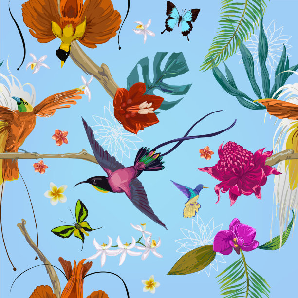 无缝的异国情调的模式图片下载