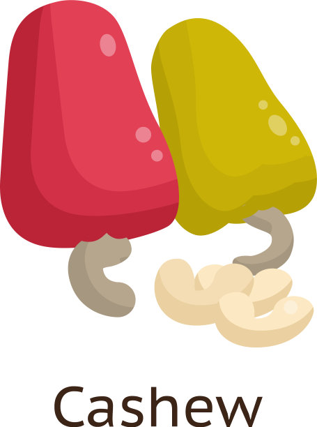 这种植物的果实是带有硬壳的坚果图片下载