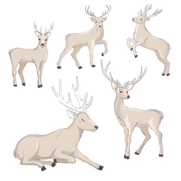 可爱的鹿卡通设定野生动物的角色素材图片