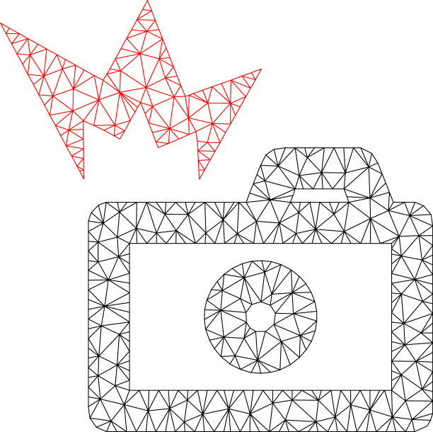 相机闪光多边形框架网格图片下载