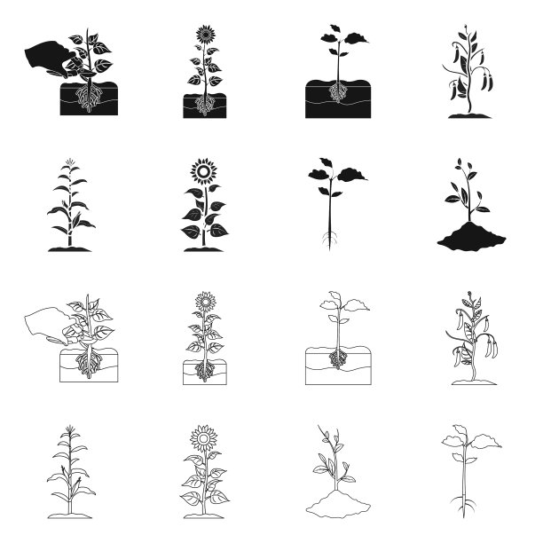 植物和豆类标志图片下载