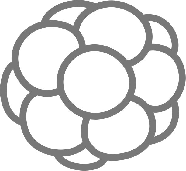 鱼子酱爬行动物蛋线条图标图片下载