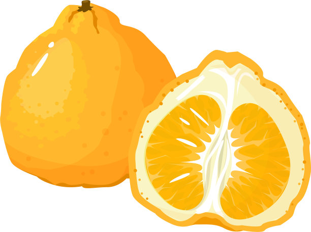 卡通新鲜丑果孤立在白色素材图片