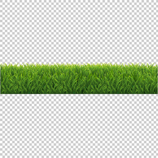 绿草背景孤立透明图片下载