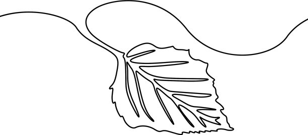 连续一行画出树叶自然图片下载