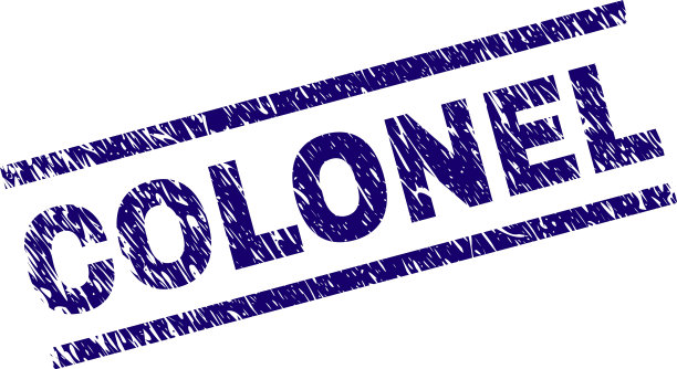 刻有纹理的上校印章印章图片下载