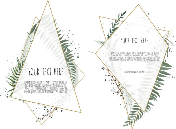 卡片与树叶和几何框架花卉图片下载