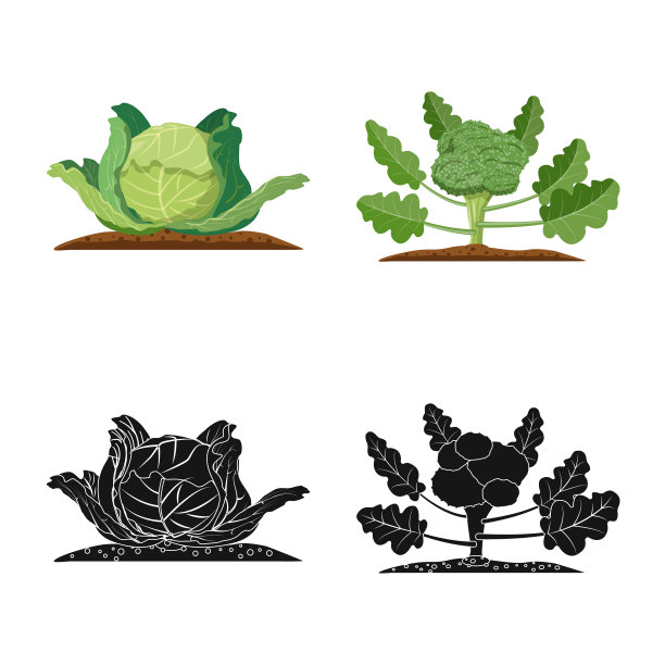 设计温室及植物标志套图片下载