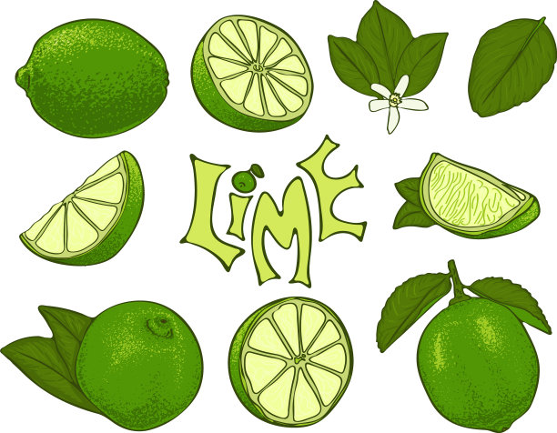 一套石灰符号在素描风格图片下载