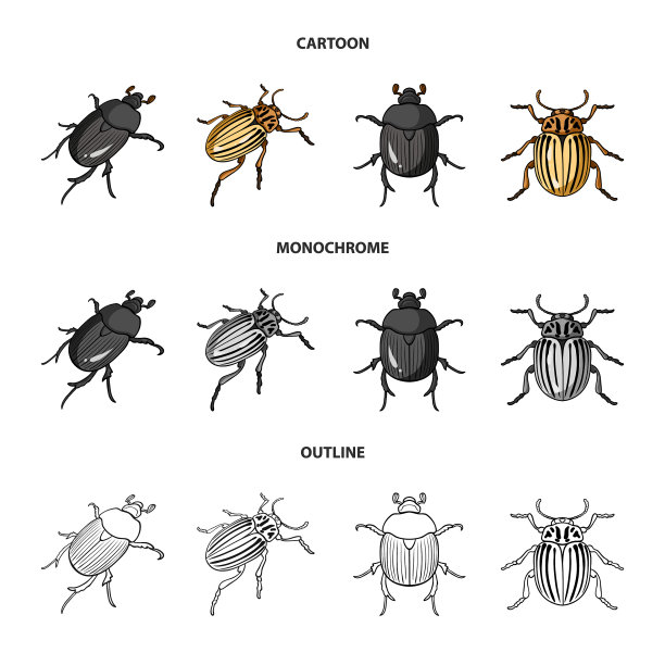 昆虫和甲虫符号图片下载