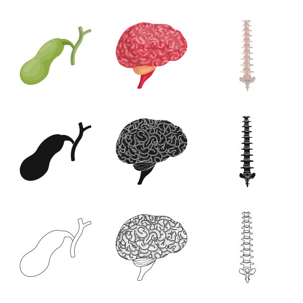 孤立的物体身体和人体符号图片下载