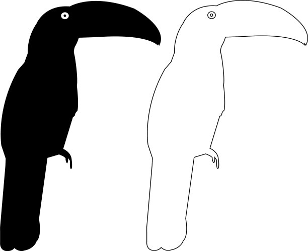 鹦鹉鸟轮廓轮廓eps设定图片下载