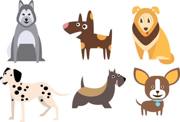 不同品种的狗把可爱的宠物放在家里图片下载