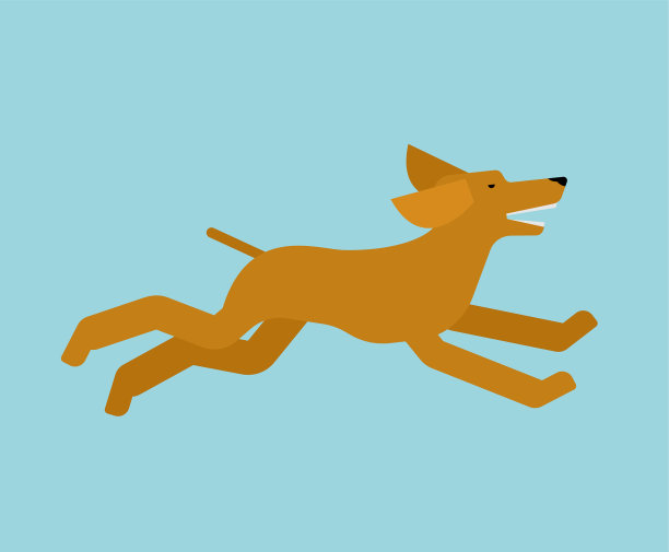 狗跑孤立的宠物跑图片下载