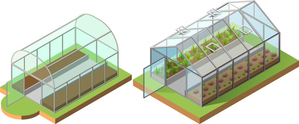 设置温室，等距种植蔬菜图片下载