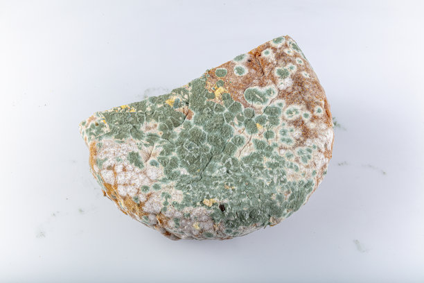 发霉的腐烂的面包在白色的背景。对食品、现代生活、消费主义的不恰当态度。浪费食物的概念照片。覆盖着发霉。有选择地关注面包。图片下载