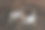 结婚戒指及配件图片下载