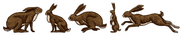 野生兔子。兔子坐着跳着。森林兔或科尼收藏。手绘雕刻的旧素描t恤，纹身或标签或海报。矢量图图片下载