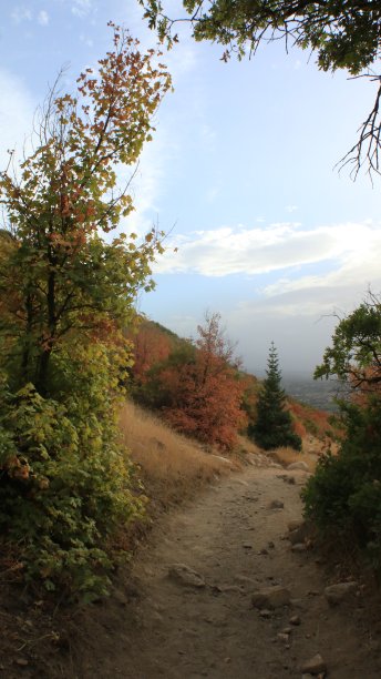 迷失在落基山脉图片下载