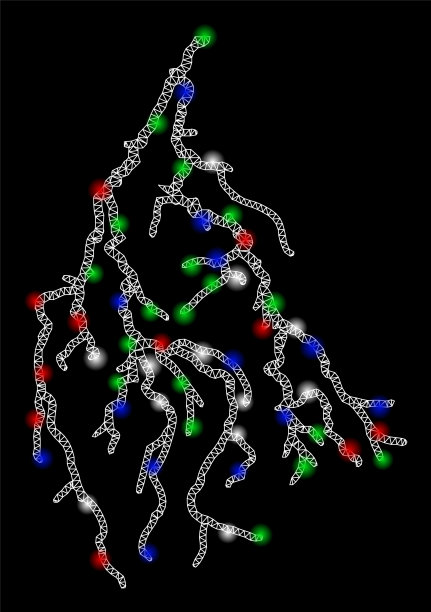 明亮的网线框架闪电与光点图片下载