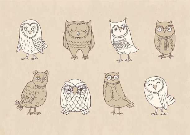 集线猫头鹰风格化手绘上图片下载