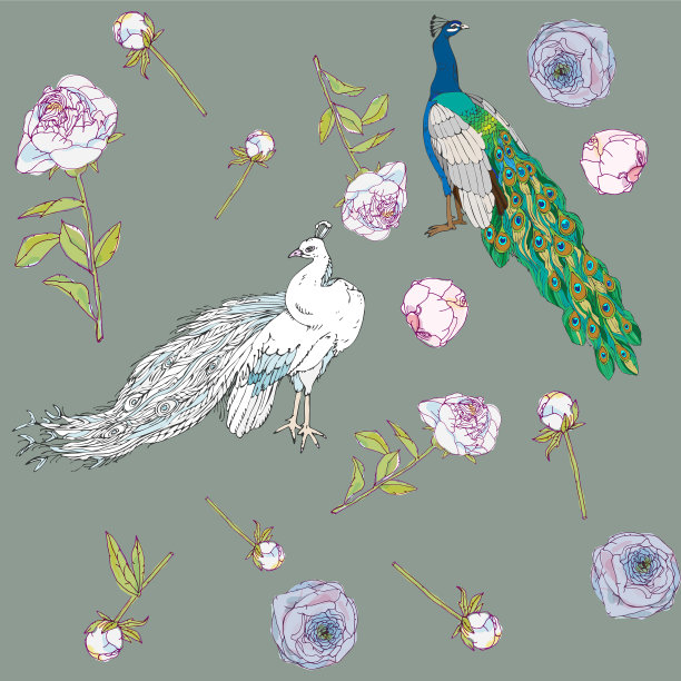 白色和彩色的孔雀叶茎和图片下载