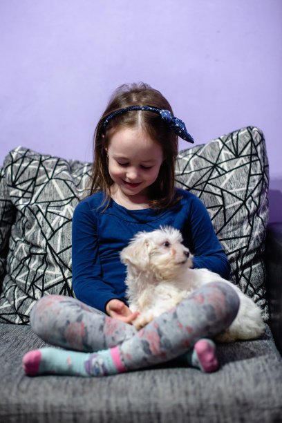 小女孩抱着白色的小狗图片下载