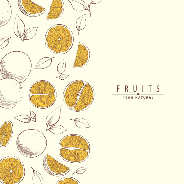 正上方白色背景的食物照片图片下载