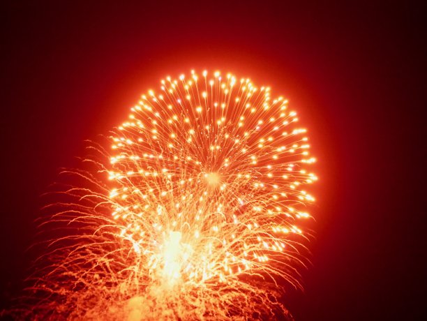 烟花在夜空中图片下载
