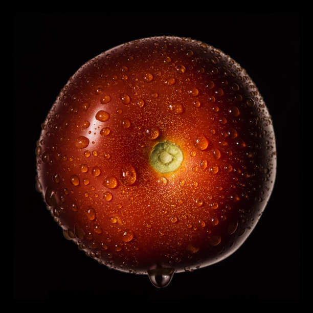 黑色背景上的番茄图片下载