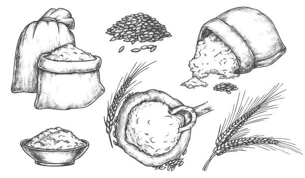 设置孤立的小麦粒和穗图片下载