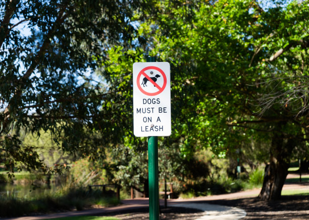 在公园里，狗必须用皮带拴着图片下载