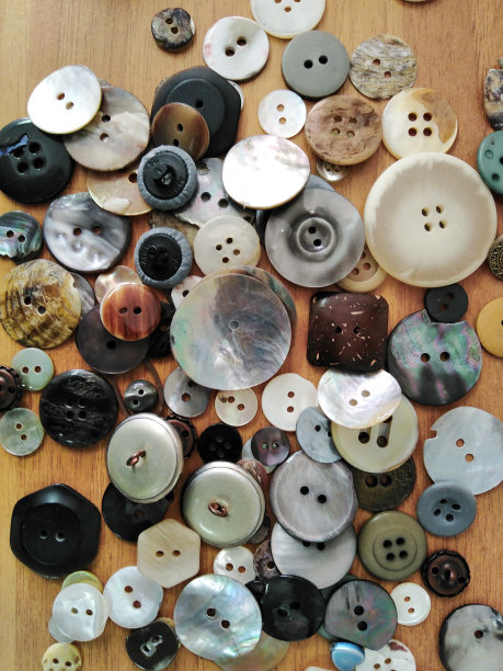 各种服装纽扣图片下载
