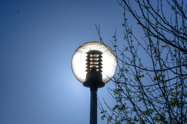 蓝天下街灯的低角度视角图片下载